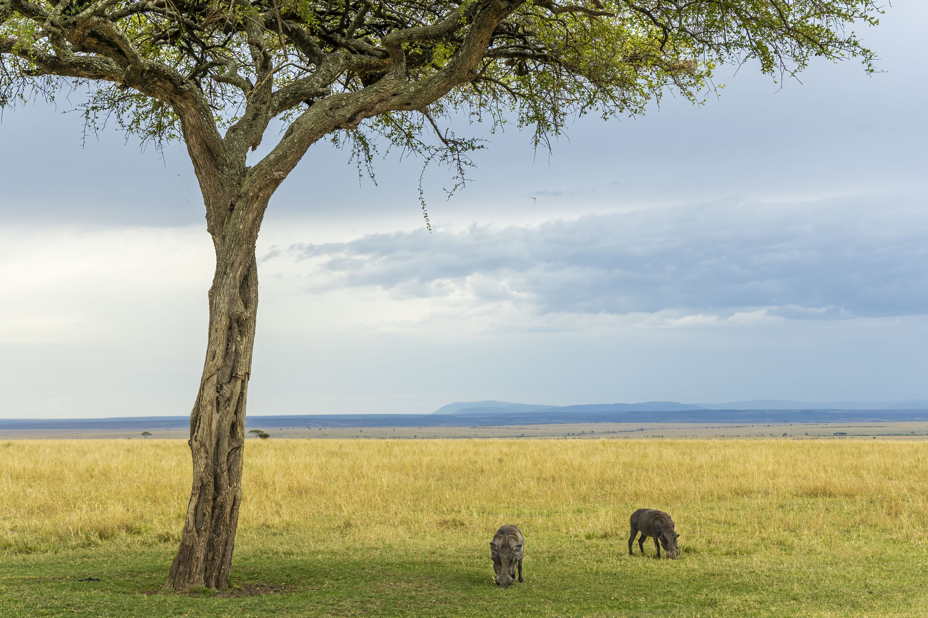 November 10, 2022-170454-Edit-3.jpg